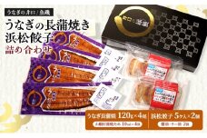 国産うなぎ長蒲焼120g×4尾＆調理済み浜松餃子5ケ入×2パック詰め合わせ【配送不可：離島】 国産 うなぎ 鰻 ウナギ長蒲焼 真空パック 焼き餃子 ぎょうざ 浜松餃子 詰め合わせ 冷凍 浜松市 静岡【2025年8月15日以降順次発送】[№5360-0477]