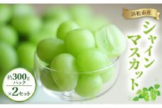 浜松市産シャインマスカット約300gパック×2セット　果物 フルーツ シャインマスカット マスカット 皮ごと 種なし 甘い ジューシー 浜松市 静岡[№5360-0799]
