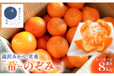 【2025年11月中旬より順次発送】滝沢みかん 光希「希-のぞみ-」８kg（S～Lサイズ） 果物 柑橘 フルーツ 濃厚 薄皮 デザート 食後	 [№5786-5223]