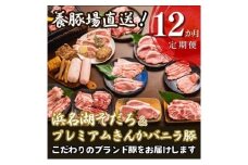 とんきい自慢の豚肉定期便【12か月】毎月お届け！豚肉 浜名湖そだち プレミアムきんかバニラ豚【配送不可：離島】しゃぶしゃぶ すき焼き BBQ　焼き肉 食べ比べ セット 浜松市 [№5360-0723]