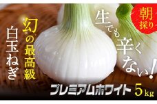 浜松篠原産新白玉ねぎプレミアムホワイト5キロ【無選別品】 [№5786-2836]