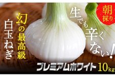 浜松篠原産新白玉ねぎプレミアムホワイト10キロ【無選別品】 [№5786-2837]