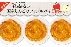 訳あり 国産 りんご アップルパイ 3個 セット 冷凍  工場 直売 アウトレット スイーツ シェア 母の日 父の日