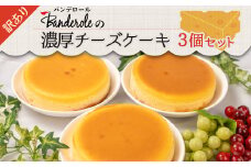 訳あり 濃厚 チーズケーキ ３個セット 冷凍 工場直売 アウトレット スイーツ シェア ケーキ 3個 セット 訳アリ ケーキ 母の日 父の日