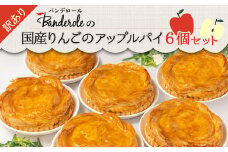 訳あり 国産 りんご アップルパイ 6個 セット 工場直売 アウトレット スイーツ シェア 母の日 父の日
