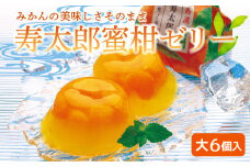ゼリー みかん 果物 寿太郎 蜜柑 大 6個入り セット 沼津 母の日 父の日