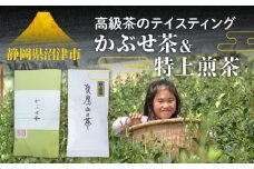 高級茶のテイスティング
