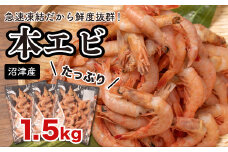 えび 冷凍 海老 Ｍサイズ 1.5kg 500g 3パック 駿河湾 採れたて 鮮度抜群 エビ餃子 エビチリ エビ餃子