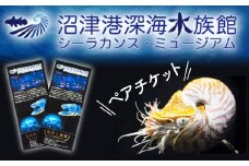 ペア チケット 沼津港 深海水族館 シーラカンス ミュージアム  駿河湾
