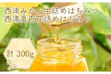 はちみつ 国産 蜂蜜 西浦 みかん 生詰め 3本 計300g セット ハチミツ 夏百花 温州 みかん ローハニー ミカン 蜜柑 柑橘 静岡県 沼津市 伊豆 半島 パンケーキ トースト 健康 朝食 ヨーグルト ホットケーキ