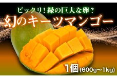 【価格改定予定】期間限定 キーツ マンゴー 600g ~ 1kg 沼津