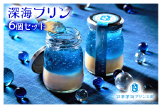 深海 プリン 6個 セット 【 沼津港 で 大人気 】贈答 ギフト 用  12000円 母の日 父の日