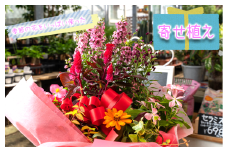 季節の花をいっぱい使った寄せ植え  花 静岡 沼津 母の日 父の日