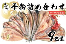 干物 詰め合わせ９枚 あじ 金目鯛 ほっけ さんま かます いわし 甘鯛 赤魚  高級 キンメ ひもの ハイパック 真空 包装 個包装 小分け 水産事業者支援 干物セット 極上 美味しい 人気 コスパ ランキング 静岡 沼津 静岡県