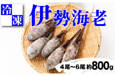 【 訳あり 】 伊勢海老 4尾 ～ 6尾 800g 相当 沼津 我入道漁業協同組合 静岡 年末 縁起 エビ 