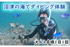ダイビング 体験 チケット 大人 1名 1回 沼津 伊豆 半島 アクティビティ 遊び マリンスポーツ マリンアクティビティ スキューバ ダイビング 海 大瀬崎 平沢 獅子浜 井田