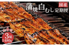 定期便 年 6回 うなぎ 鰻 蒲焼 国産 2尾 白むし 1尾 480g セット 真空 小分け 丑の日 沼津 うなよし 人気 高級 静岡県