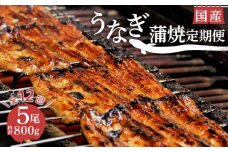 【 12ヵ月定期便 】 うなぎ 鰻 蒲焼 国産 5尾 800g 真空 小分け 丑の日 冷蔵 沼津 うなよし 人気 高級 静岡県