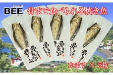 干物 ひもの 骨まで食べられる焼き魚 かます 5袋 個包装 セット 詰め合わせ 惣菜 手軽 レンチン 美味しい 本場 極上 沼津 静岡県 国産 コスパ