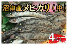 【価格改定予定】メヒカリ 旬の鮮魚 たっぷり 4kg 小分け 1kg 4パック 冷凍 唐揚げ 一夜干し