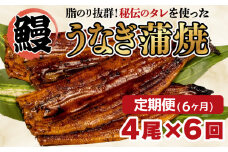 【 6カ月定期便 】 うなぎ 蒲焼き 鰻 4尾  約500g  冷凍 半年 中国産 まるが水産 脂ノリ抜群 静岡県 人気 老舗 高級