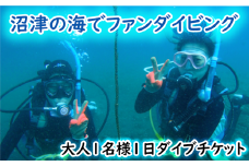 ファン ダイビング チケット 大人 1名 1日 2ビーチ ダイブ 沼津 伊豆 半島 アクティビティ 遊び マリンスポーツ マリンアクティビティ スキューバ ダイビング 海 大瀬崎 平沢 獅子浜 井田