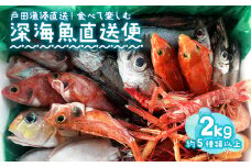 見て食べて楽しむ 深海魚直送便 約2kg 2～3人前 セット 深海魚の宝庫 沼津 戸田 からお届け！