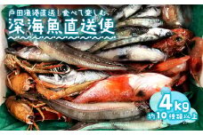 見て食べて楽しむ 深海魚直送便 約4kg 3～5人前 セット 深海魚の宝庫 沼津 戸田 からお届け！