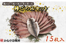 鯵ごのみ セット あじ 詰め合わせ 15枚 干物 ひもの 沼津 かね中冷蔵庫 静岡県 静岡 美味しい コスパ