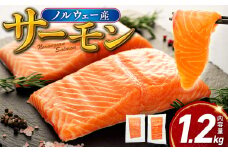 期間 数量 限定 ノルウェー産  サーモン 1.2kg まるが水産 指定日可 冷凍 刺身 鮭 サーモン さーもん 切り身 フィレ 生食 生食用 お刺し身 魚介類 美味しい さけ シャケ しゃけ 不揃い 厚切り 薄切り カルパッチョ ソテー さしみ 惣菜 おかず 夕食 静岡 沼津