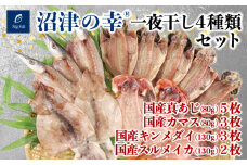 金目鯛 カマス 真あじ スルメイカ 一夜干し 4種 計 13枚 1.2kg 干物 冷凍 おつまみ 定食 お手軽 簡単 弁当 おかず 冷凍 絶品 極上 高級 キンメ キンメダイ 鯵 あじ アジ かます いか イカ 干物 詰め合わせ セット ひもの 美味しい ランキング コスパ 人気 静岡 沼津 静岡県 国産