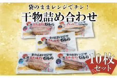 魚 干物 詰め合わせ セット 10枚 個包装 簡単 レンジ お手軽 ひもの あじ 縞ほっけ さば フィーレ さば味醂 さけ 本場 加工品 静岡県 沼津市 魚介 干物セット 美味しい 極上 静岡 沼津 コスパ