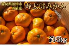 【価格改定予定】静岡県沼津市西浦産 寿太郎みかん 約５kg ご家庭用 訳あり サイズ不揃い