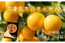 【価格改定予定】高級 きんかん 金柑 こん太 糖度20度以上 化粧箱 20個入り 500g 2箱セット ギフト用