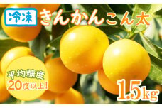 【価格改定予定】きんかん 金柑 こん太 糖度20度以上 1.5kg 柑橘 セット ご家庭用