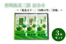 静岡銘茶三撰 「薮北天下一」「山峡の里」「清風」(各100g) 詰め合わせ