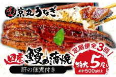 【 3カ月定期 】国産 うなぎ 蒲焼 たっぷり 5尾 約 500g 鰻 冷凍 小分け 肝 佃煮 ギフトボックス セット 老舗 専門店 うなぎ処京丸 定期便 人気 静岡 静岡県 土用 丑の日