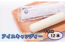 アイスキャンディー 12本 セット うちだけの味 武井牧場 自家製 アイス 牧場 牛乳 キャンディー 食べ比べ ギフト 贈答 お取り寄せ スイーツ お菓子 デザート 静岡県 沼津市 母の日 父の日