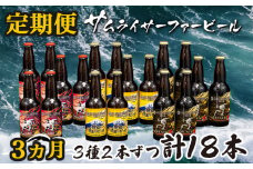 定期便 3ヶ月 地ビール 瓶 計 18本 3種 2本ずつ  ギフト