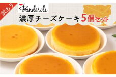 訳あり 濃厚 チーズケーキ 5個 セット 冷凍 工場直売 アウトレット スイーツ シェア 母の日 父の日