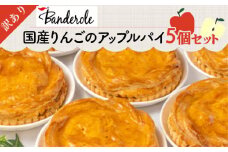 訳あり 国産りんご アップルパイ 5個 セット 冷凍 工場直売 アウトレット スイーツ シェア 母の日 父の日