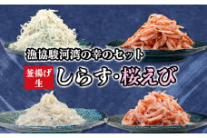 釜揚げ しらす 桜えび 生シラス 500g 4種 セット 小分け 駿河湾 沼津市 静岡