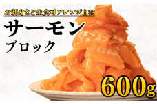 サーモン 600g ブロック 海鮮丼 カルパッチョ お刺身 人気 生食用 冷凍 魚介 コスパ 静岡 沼津 さーもん おいしい サーモン