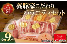 【スピード発送対応】 豚肉 こま切れ 味噌漬け チューリンガー プレミアム 粗挽き ウィンナー ベーコン ハムステーキ アウフステーキ ロース ソテー 豚 バラ肉 焼肉 骨付き スペアリブ 精肉 9種 セット お歳暮 贈答用 ギフト用