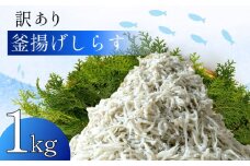 訳あり 釜揚げ しらす 1kg 冷凍 小分け しらす パック 500g 2パック しらす 駿河湾 の恵み シラス サイズ不揃い