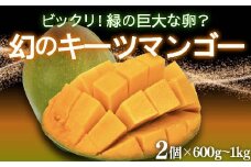 【価格改定予定】期間限定 完熟 キーツ マンゴー 2個 2玉 600~1kg 家庭用