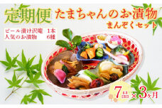 定期便 3ヶ月 野菜 漬物 詰め合わせ 季節野菜 7種 沼津まんぞく セット 小分け 旬  つけもの 漬け物 漬け もの たくあん 人気 浅漬け お醤油漬け 酢漬け ビール漬 静岡県