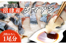 シマアジ 刺身 3枚おろし 沼津産 500g 700g 縞鯵 しまあじ 