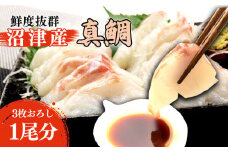 真鯛 刺身 3枚おろし 沼津産 500g 700g 鯛 たい