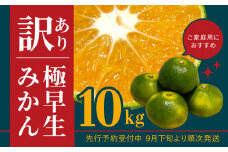 【価格改定予定】訳あり 極早生みかん 約 10kg ご家庭用 西浦 サイズ不揃い 